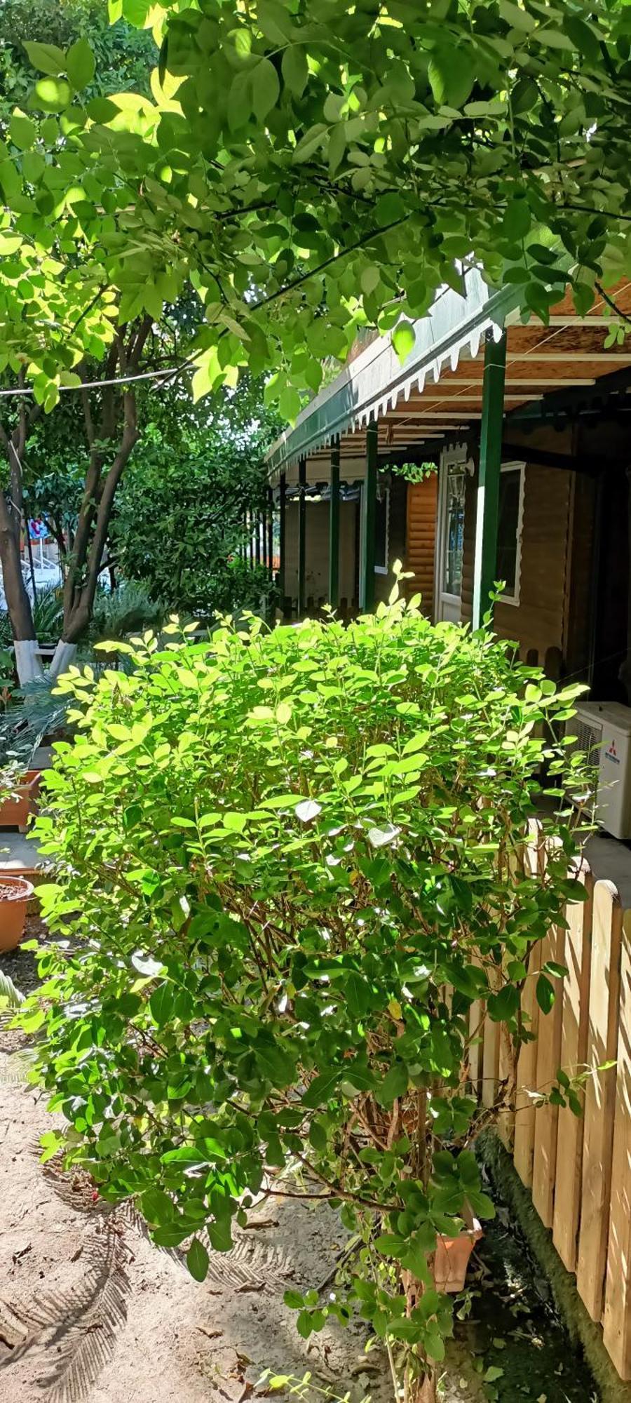 Santana Hotel 벨디비 외부 사진