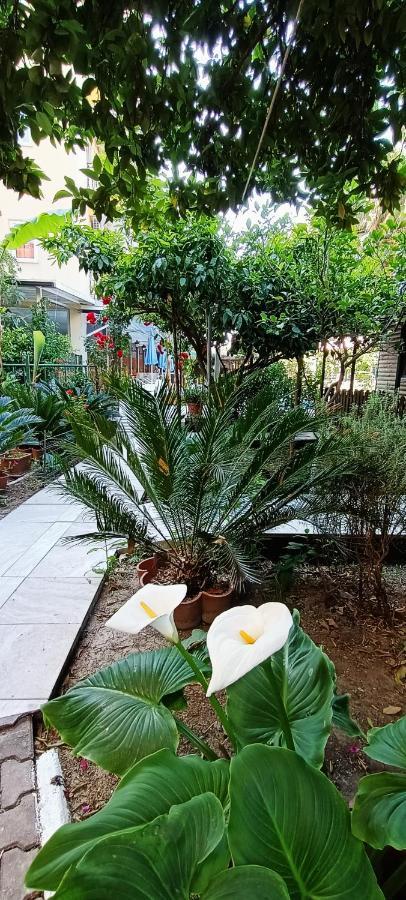 Santana Hotel 벨디비 외부 사진